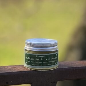 Baume Du plantain dans la prairie