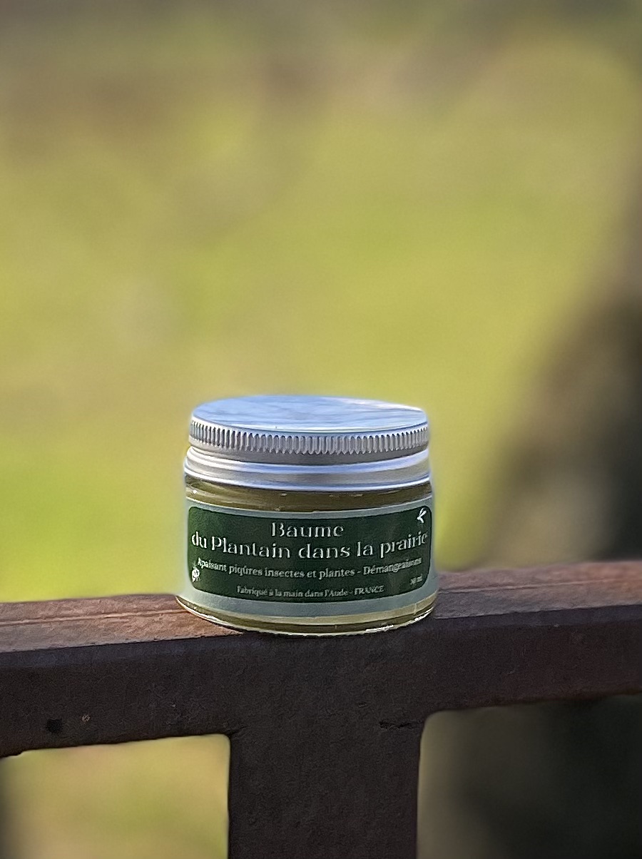 Baume Du plantain dans la prairie